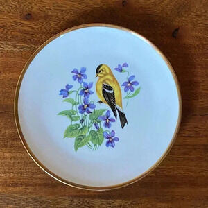 Vintage Bavarian Schumann Arzberg Germany American Goldfinch w/Larkspur Flowers